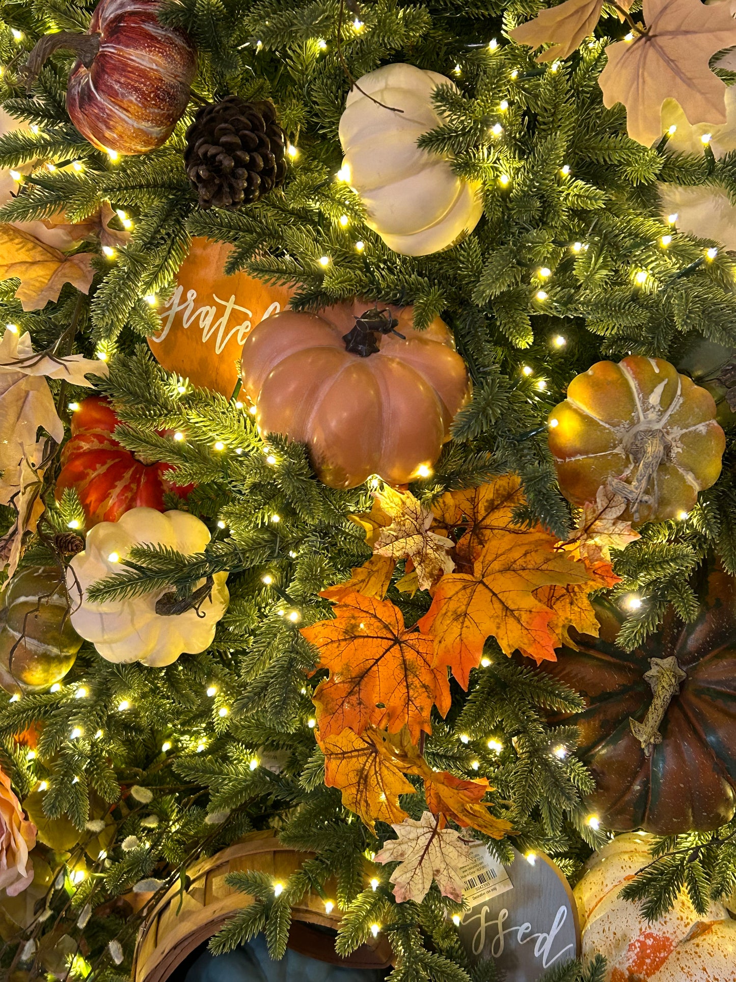 Class - Purchase Pumpkins to Use in Class